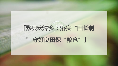 黟县宏潭乡：落实“田长制” 守好良田保“粮仓”