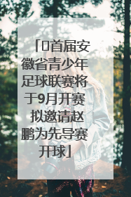﻿首届安徽省青少年足球联赛将于9月开赛 拟邀请赵鹏为先导赛开球