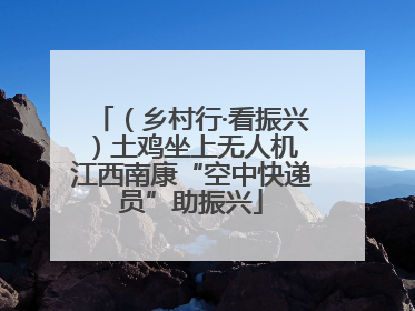 （乡村行·看振兴）土鸡坐上无人机 江西南康“空中快递员”助振兴