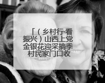 （乡村行·看振兴）山西上党金银花迎采摘季 村民家门口收获“致富花”