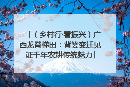 （乡村行·看振兴）广西龙脊梯田：背篓变迁见证千年农耕传统魅力