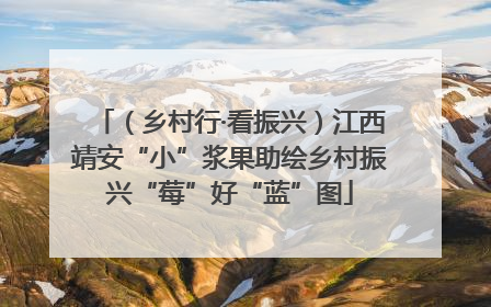 （乡村行·看振兴）江西靖安“小”浆果助绘乡村振兴“莓”好“蓝”图