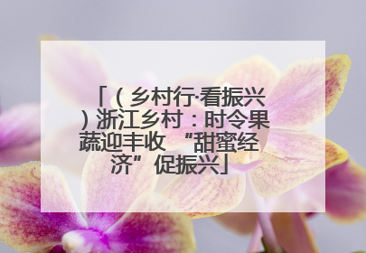 （乡村行·看振兴）浙江乡村：时令果蔬迎丰收 “甜蜜经济”促振兴