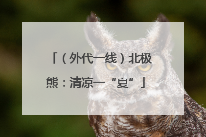 （外代一线）北极熊：清凉一“夏”
