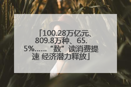 100.28万亿元、809.8万种、65.5%……“数”读消费提速 经济潜力释放