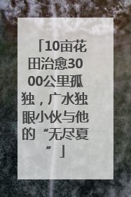 10亩花田治愈3000公里孤独，广水独眼小伙与他的“无尽夏”