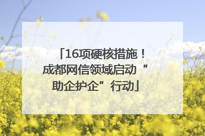 16项硬核措施！成都网信领域启动“助企护企”行动