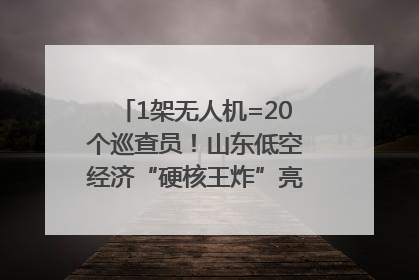 1架无人机=20个巡查员！山东低空经济“硬核王炸”亮相青岛，下一个万亿赛道藏在这里