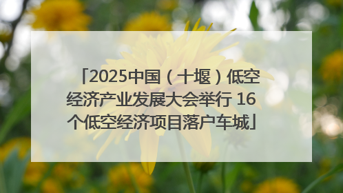 2025中国（十堰）低空经济产业发展大会举行 16个低空经济项目落户车城