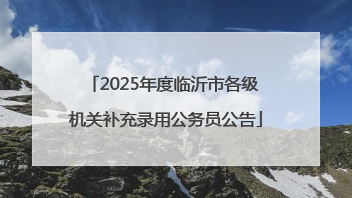 2025年度临沂市各级机关补充录用公务员公告