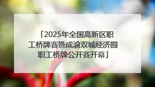 2025年全国高新区职工桥牌赛暨成渝双城经济圈职工桥牌公开赛开幕