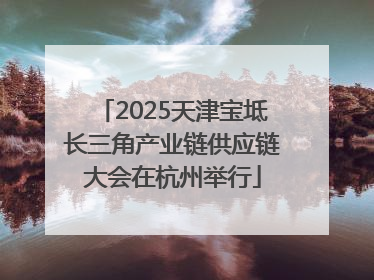 2025天津宝坻长三角产业链供应链大会在杭州举行