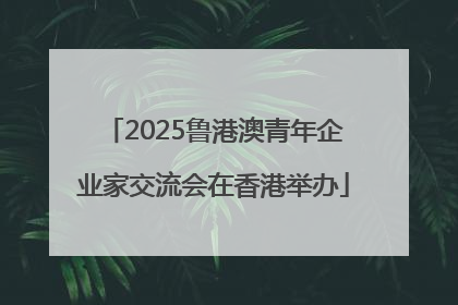 2025鲁港澳青年企业家交流会在香港举办