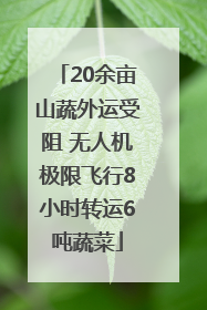 20余亩山蔬外运受阻 无人机极限飞行8小时转运6吨蔬菜