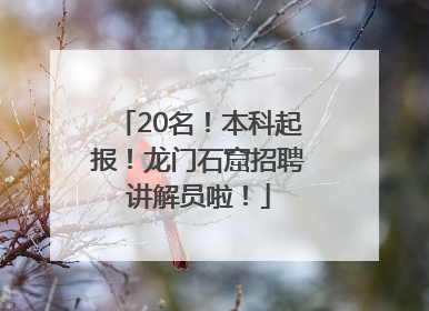 20名！本科起报！龙门石窟招聘讲解员啦！