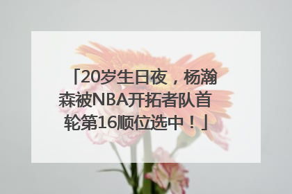 20岁生日夜，杨瀚森被NBA开拓者队首轮第16顺位选中！
