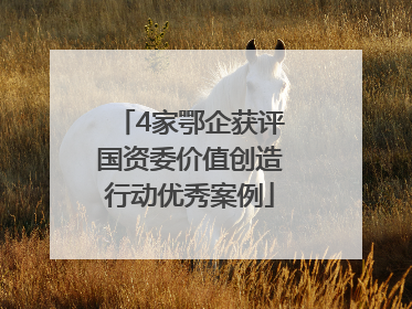 4家鄂企获评国资委价值创造行动优秀案例