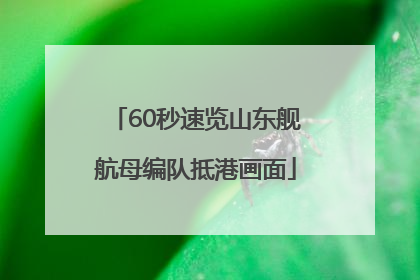 60秒速览山东舰航母编队抵港画面