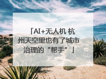 AI+无人机 杭州天空里也有了城市治理的“帮手”