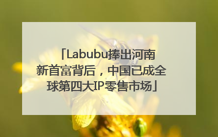 Labubu捧出河南新首富背后，中国已成全球第四大IP零售市场