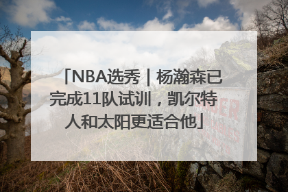 NBA选秀｜杨瀚森已完成11队试训，凯尔特人和太阳更适合他